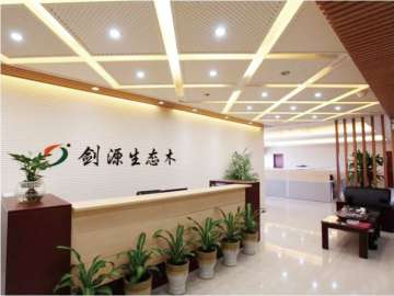 劍源木塑寶劍出鞘，創新科技引領環保新風尚